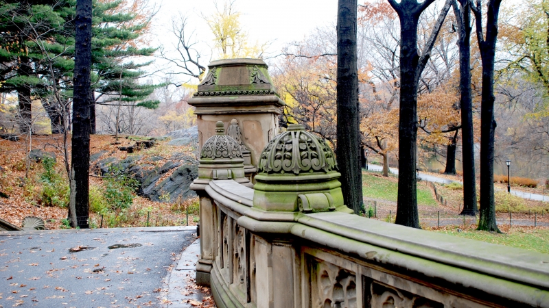 Море и ветер носят его туда и сюда